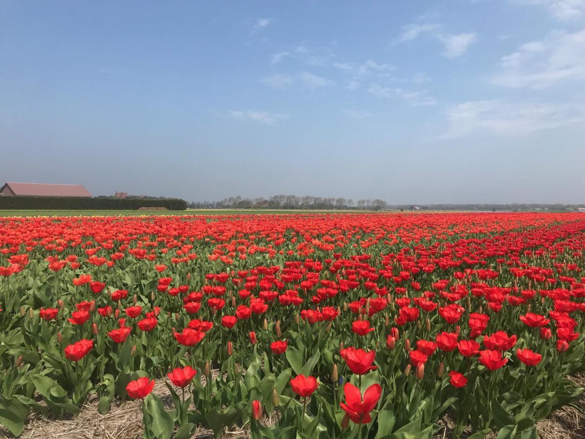 Vakantiehuis Achter De Duinen Castricum Exterior foto